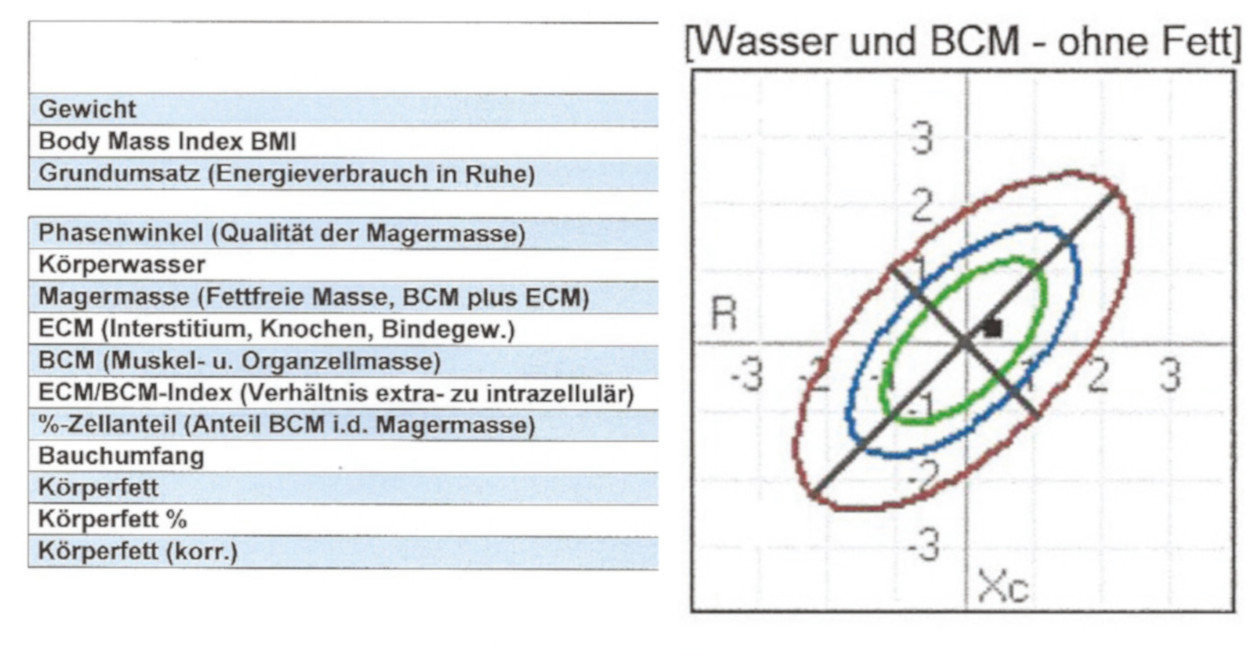 Bio Impedanz Analyse