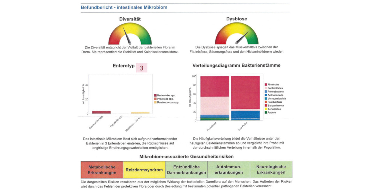 Darm-Mikrobiom-Analyse