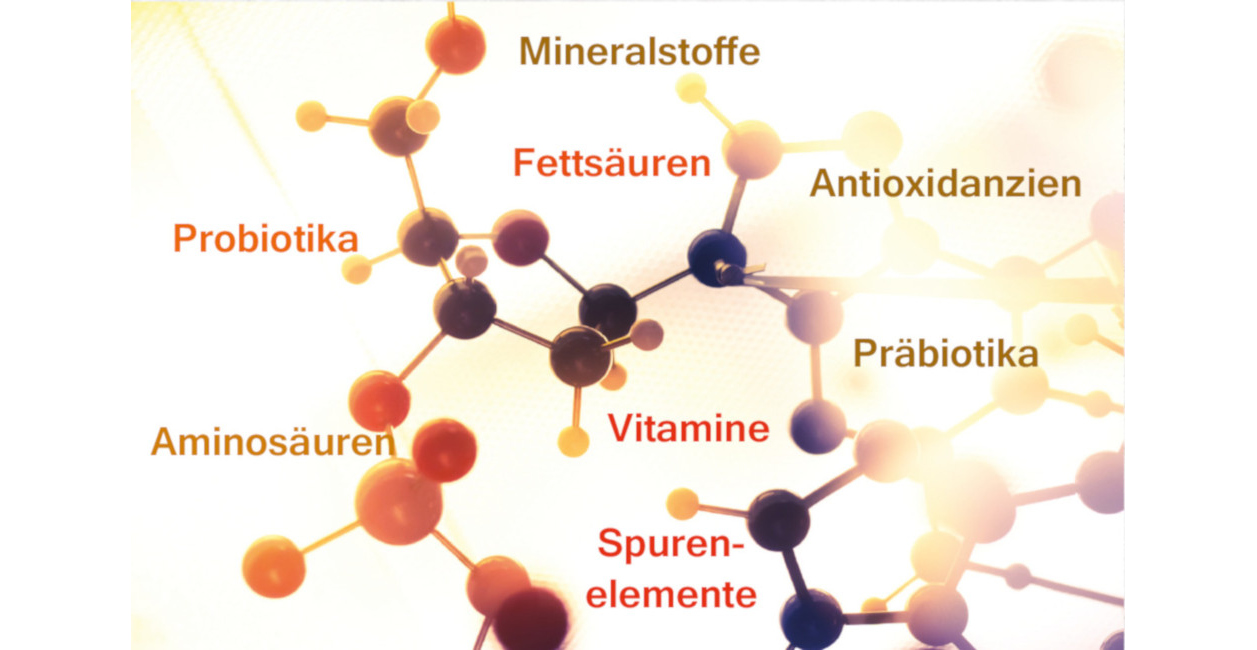 Orthomolekulare Therapie